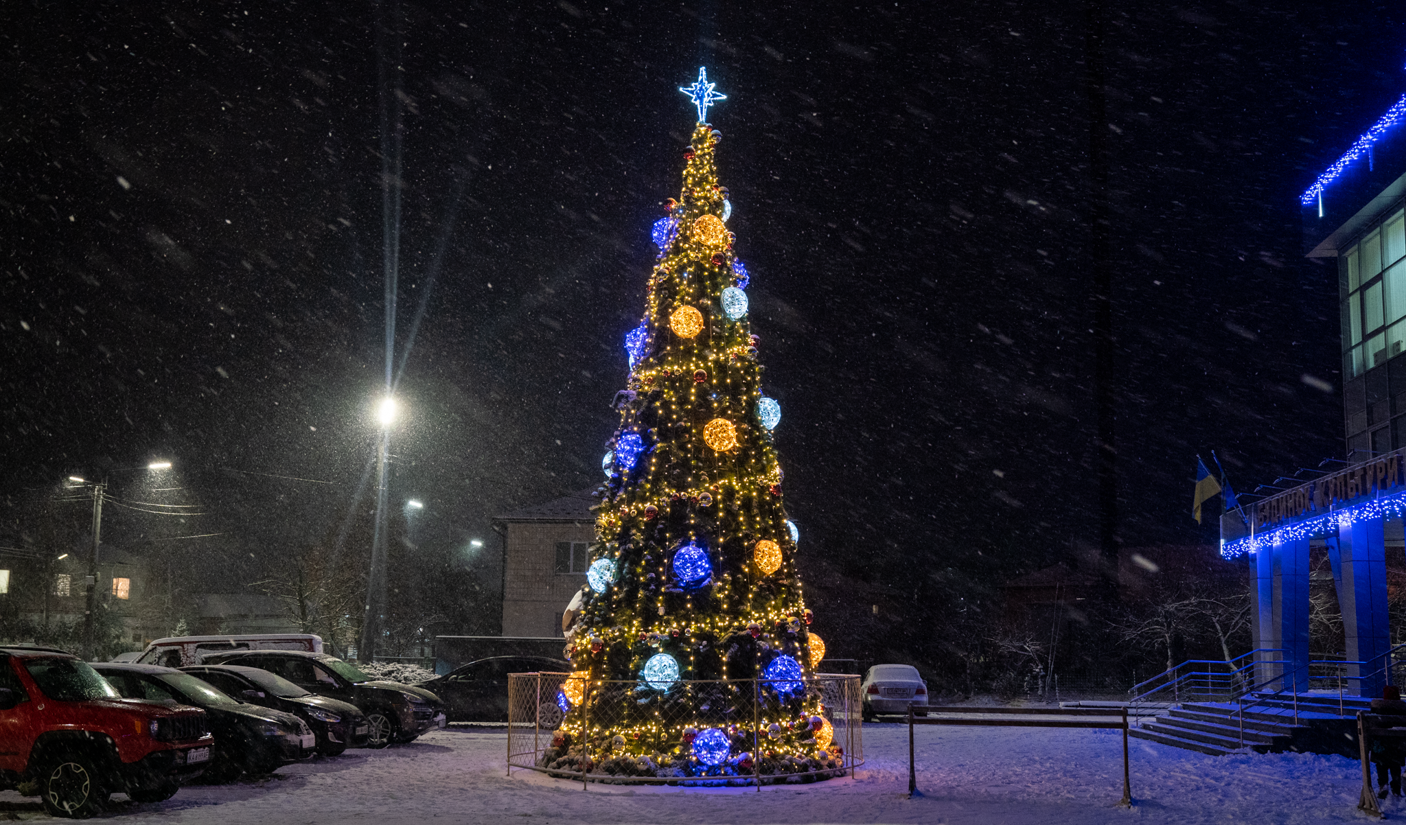 Kozin. Christmas tree — Lumiere | Light illumination | Ukraine