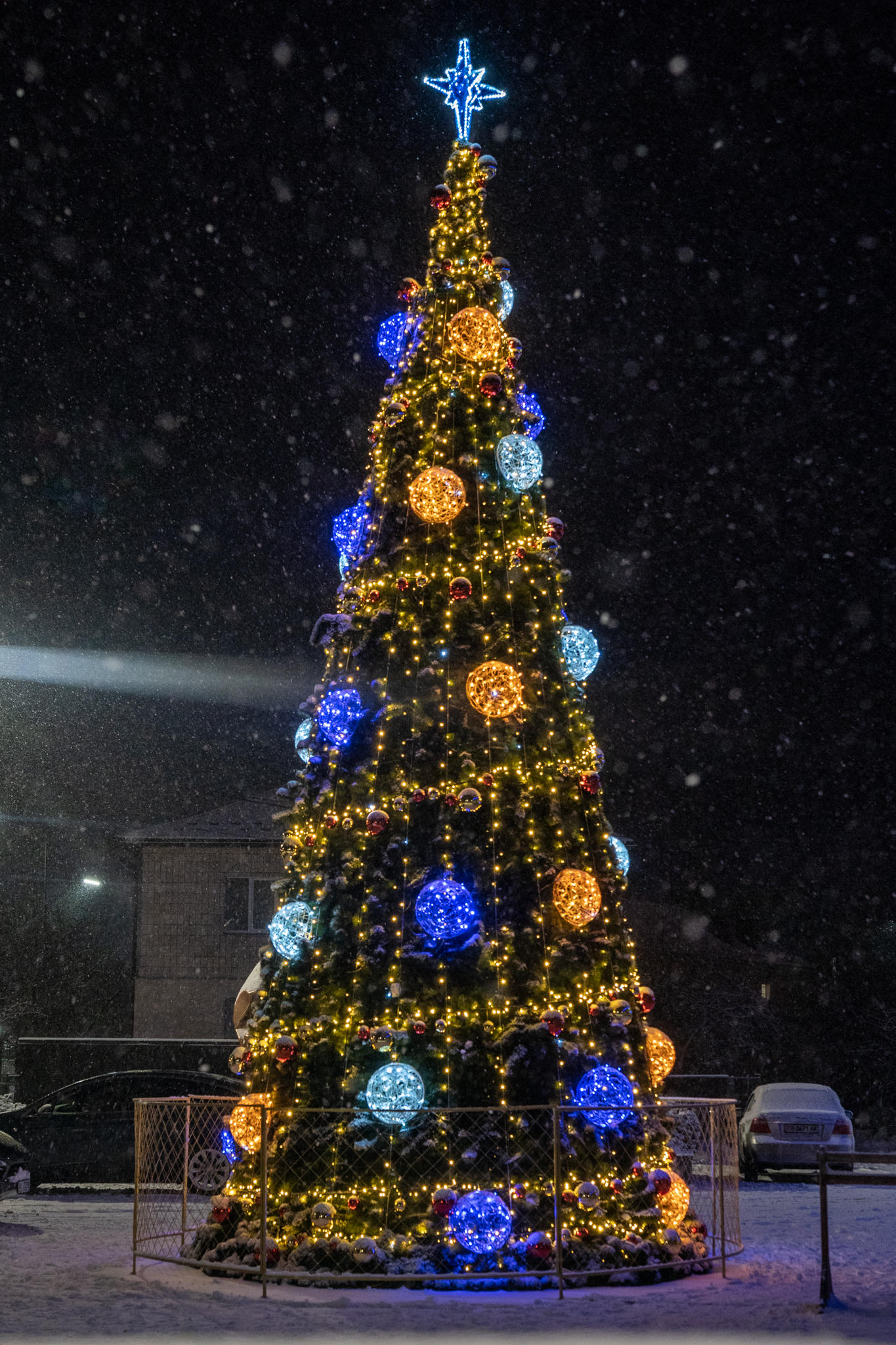 Kozin. Christmas tree