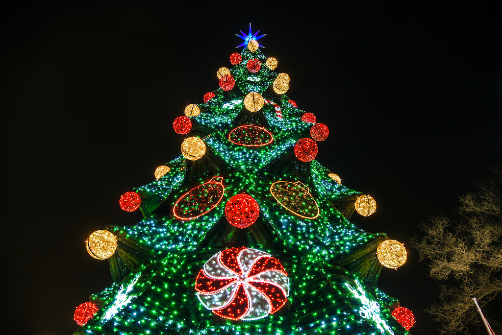 The Main Christmas Tree of Odesa. New Year 2021