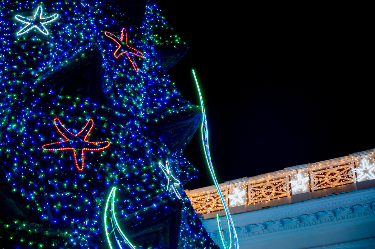 The Main Christmas Tree of Odesa. Dumskaya Square. 2022