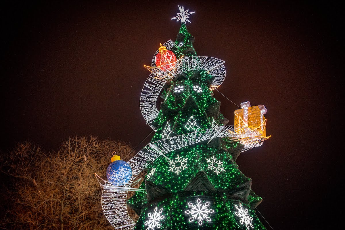 Главная елка Одессы 2019 — Lumiere | Световая иллюминация  | Украина